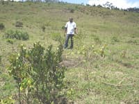 Tree planting in Kenya, March 2011