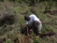 Community planting team in Kenya, November 2013
