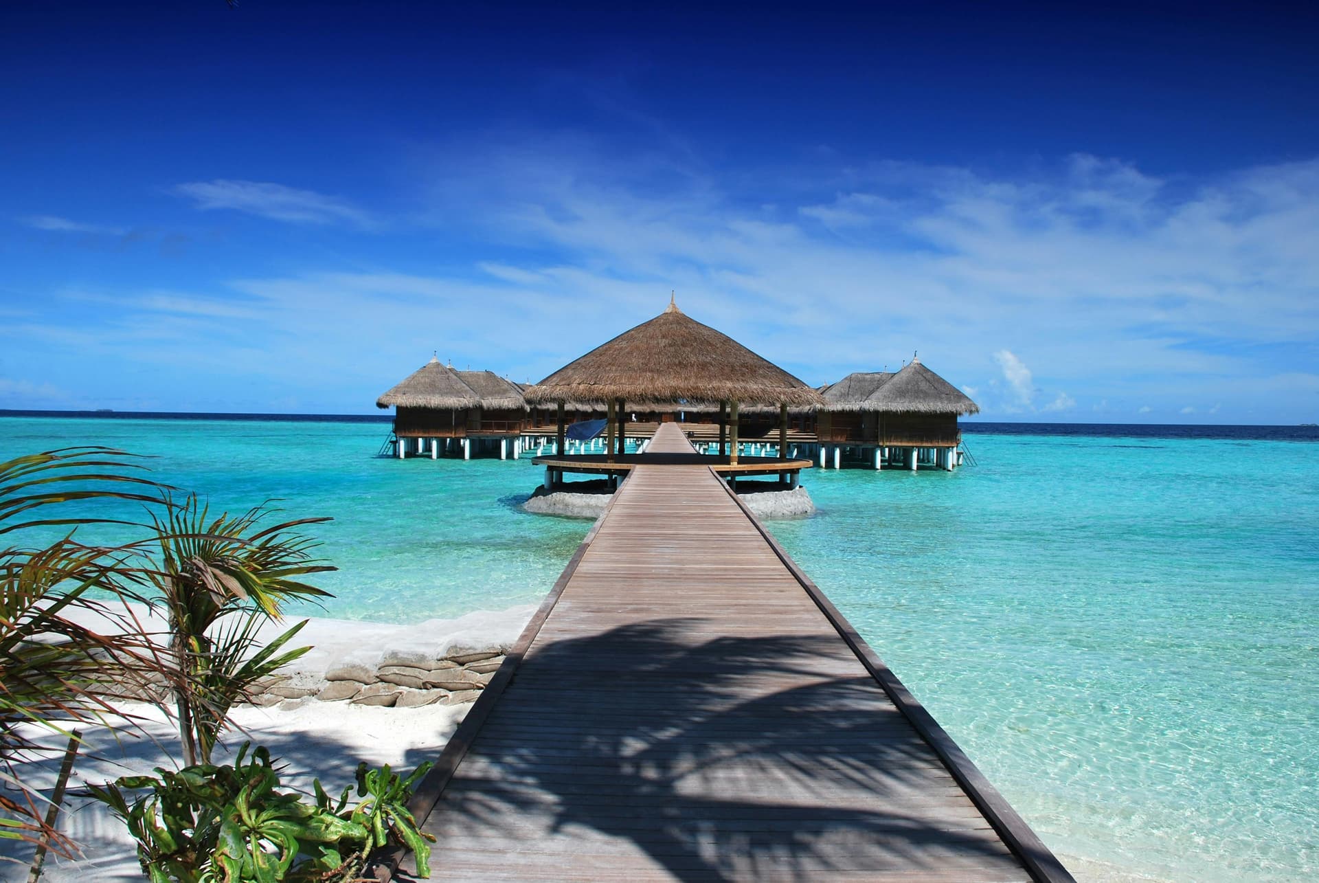Tropical Destination