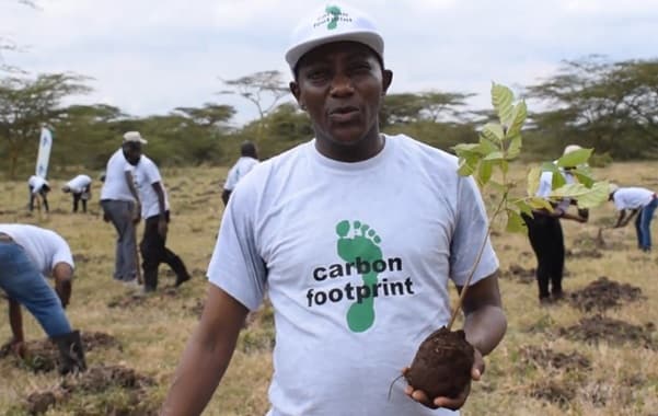 Tree planting and reforestation for climate and biodiversity impact