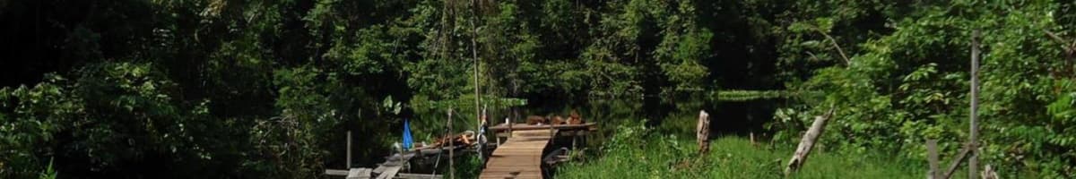RMDLT Portel-Pará REDD Project