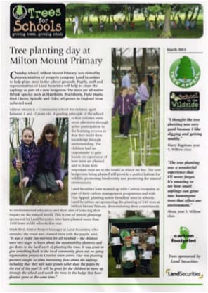 tree_planting_newsletter.jpg