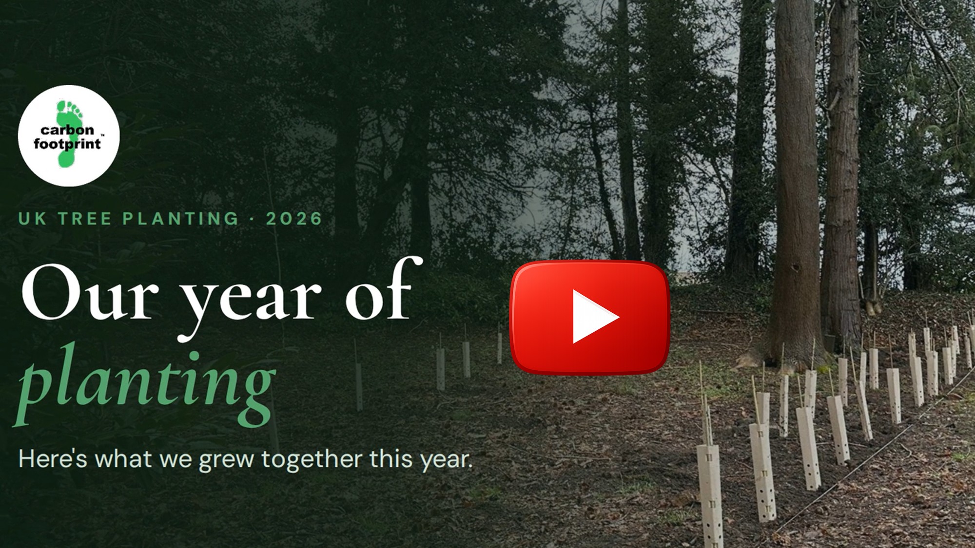 Watch our 2026 UK tree planting review video