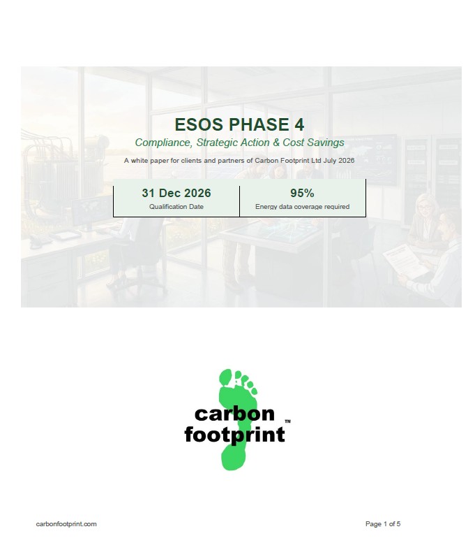ESOS Phase 4 Briefing Paper thumbnail